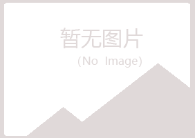 铜川盼夏计算机有限公司